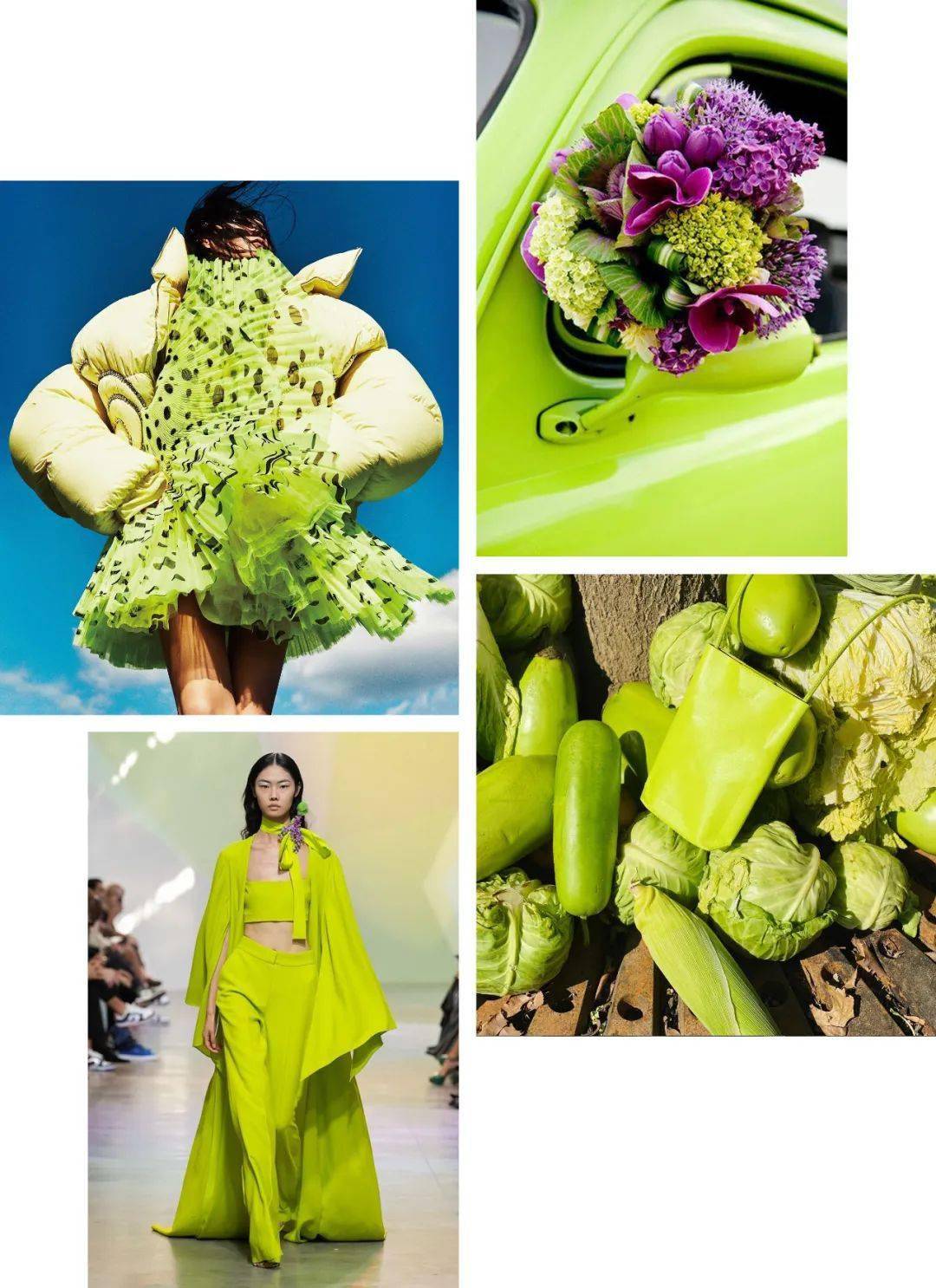 流行色 | 2024春夏即将流行哪些色彩?明年趋势早知道!_设计_数字_自然