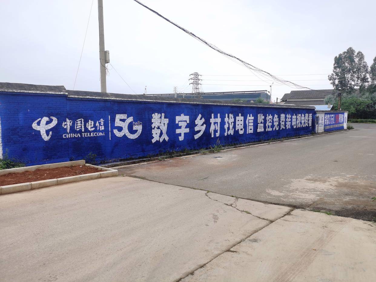 博鱼官网湖南湖北福建江西广东广西刷墙广告墙体喷绘墙体广告(图1)