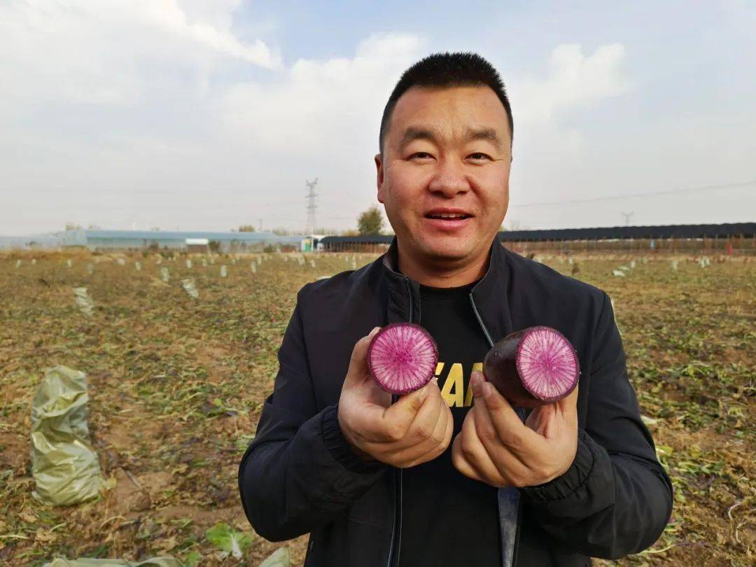 宁夏艺丰农业有限公司的负责人年伟,大学毕业后回到家乡,以新农人