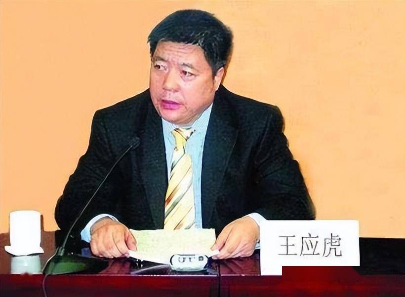 账户里只有178元现金,罪魁祸首是其最大股东_王应_华泽_陕西