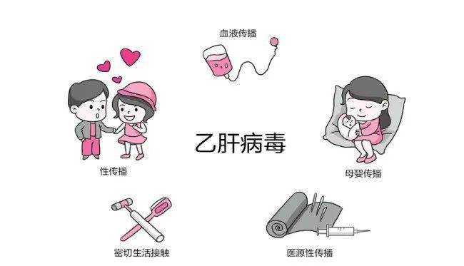 接种乙肝疫苗 预防肝炎肝癌_传播_保护_抗体