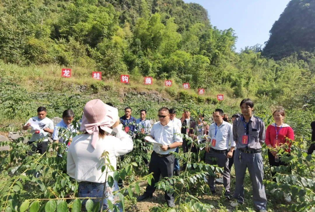 建设_群众_马山县