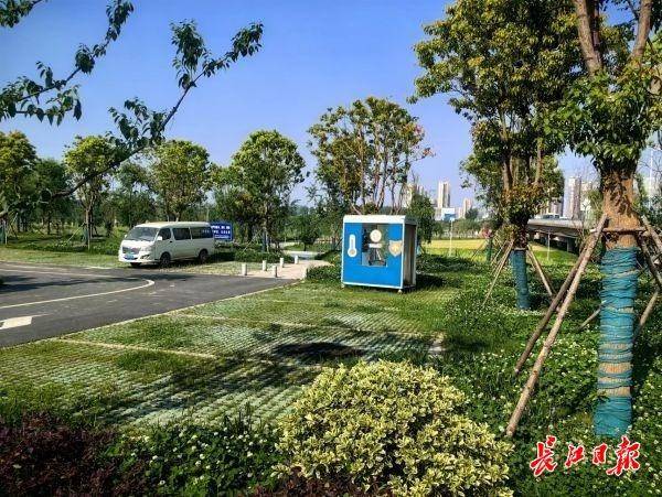 常青树木配樱花市民为长江新区道路画了幅效果图开云APP 开云官网入口(图2)