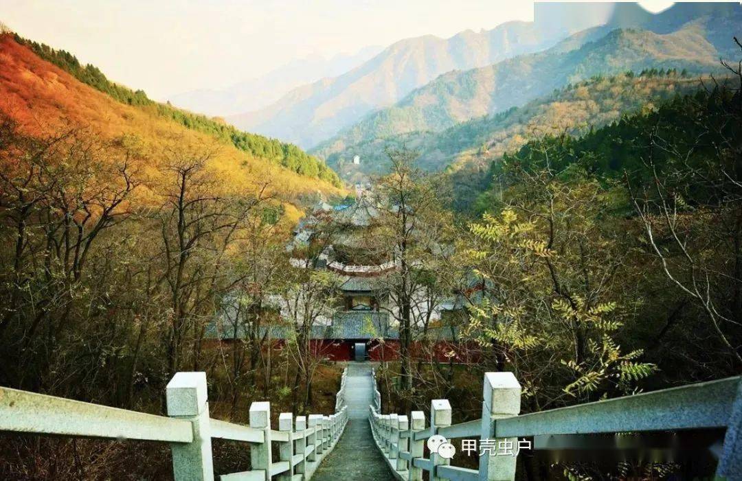 繁华落尽,觅一处归隐,本周俱乐部自驾露营活动,邹平鹤伴山营地休闲