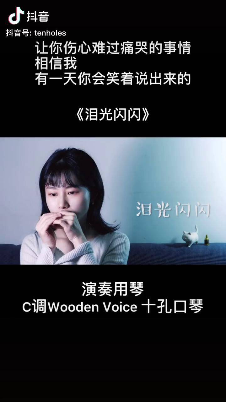 抖音凄凉口琴=口琴抖音里的一首歌