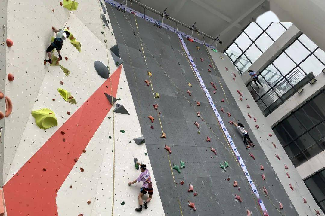 市六运会 | 攀岩比赛进行中,冠军比拼持续升温_体育_健身_九龙坡区
