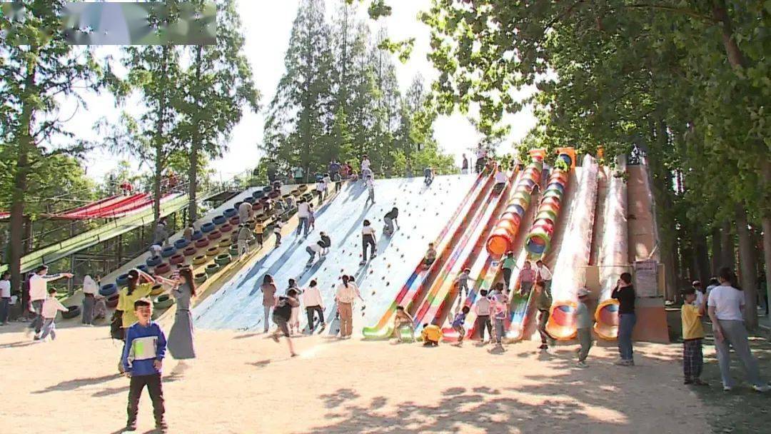 相约安徽·向春而行|阜阳颍上张庄公园:小景区带来"大满足"_旅游_谢桥