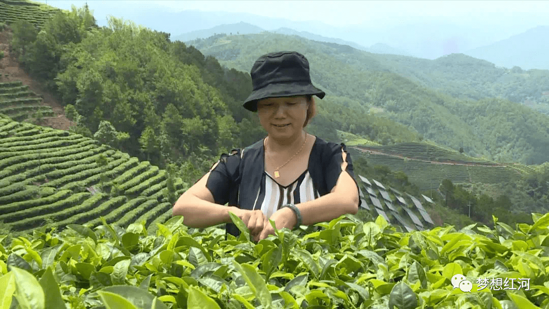所用食材基本上都采用红河本地原生态新鲜蔬菜和肉类,并在乐育镇大新