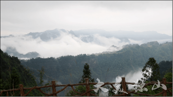 清晨,行走在紫林山村甲定组的寨子里,一排排房屋