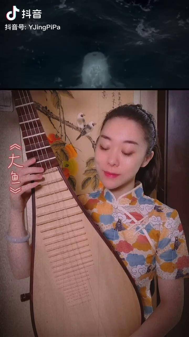 琵琶 弘扬国乐 大鱼海棠 古风 杨婧琵琶工作室