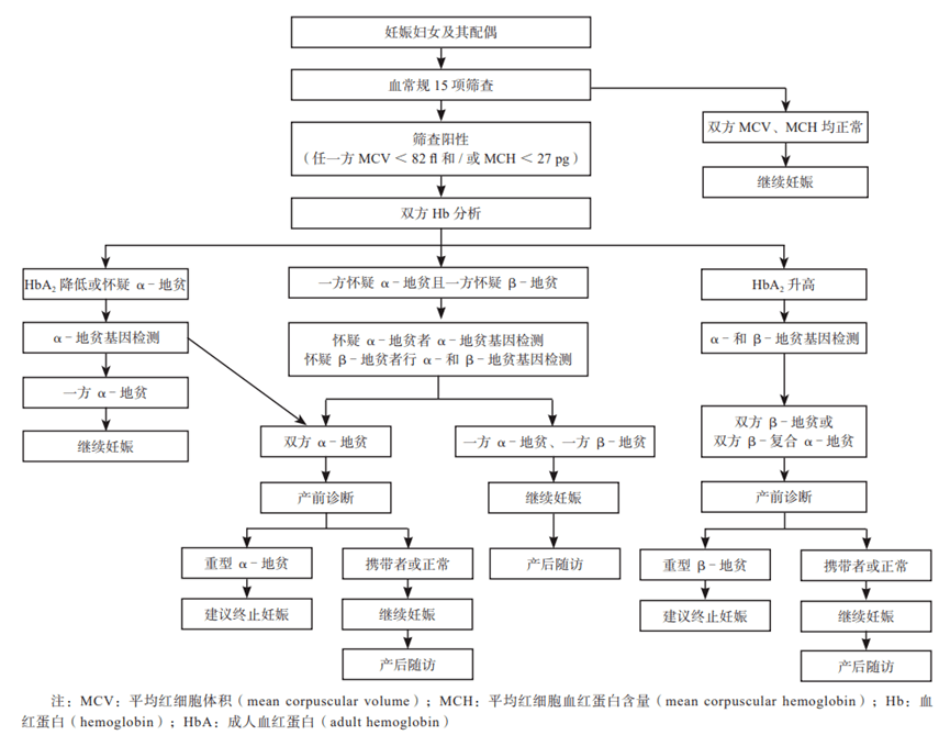 筛查攻略请查收_基因_重型_患者