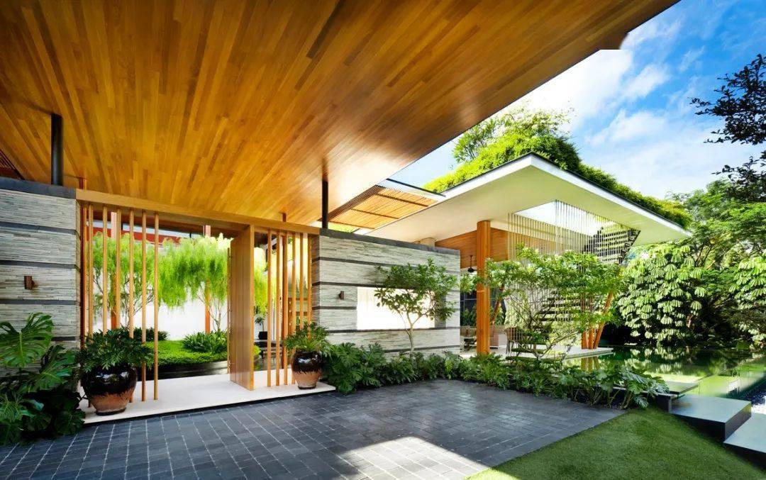 一个令人惊叹的珊瑚屋:屋顶花园 3米深大泳池 一个冒泡的池塘_设计