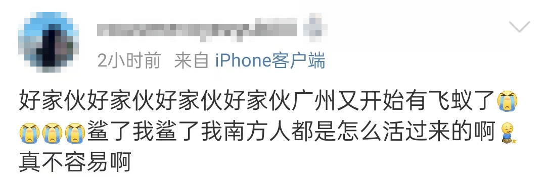 高峰期！这些飞虫在雨后又成群结队的出现了！这4招让它们快速消失