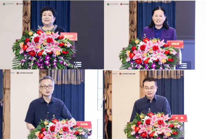 中国中医科学院广安门医院吴洁教授,北京中医药大学东方医院丁晓庆