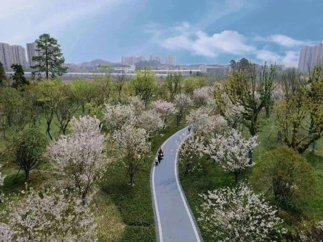 9万㎡!余杭入城口这座公园亮相!美图抢先看→_迎宾_杜鹃_景观