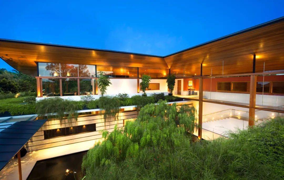 一个令人惊叹的珊瑚屋:屋顶花园 3米深大泳池 一个冒泡的池塘_设计