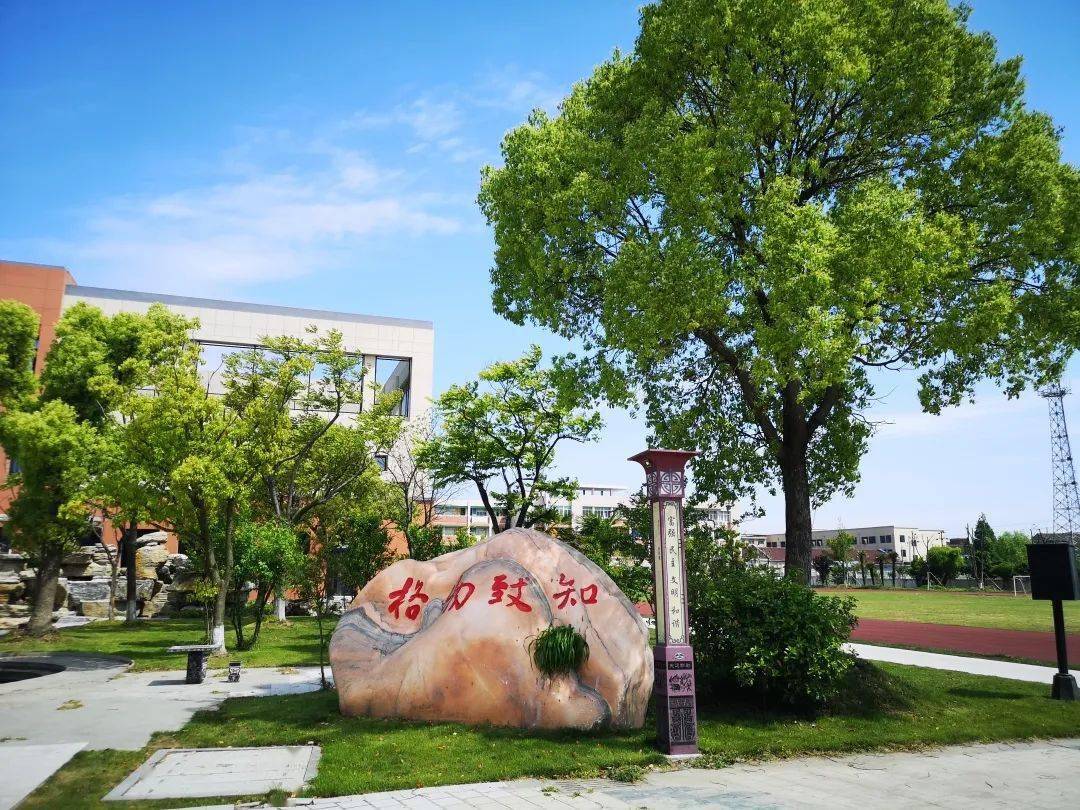 新优质学校|王江泾镇实验学校:团队协作,互助前行