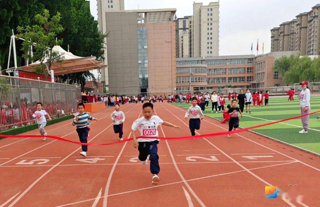 邢台金华中学招生简章图片