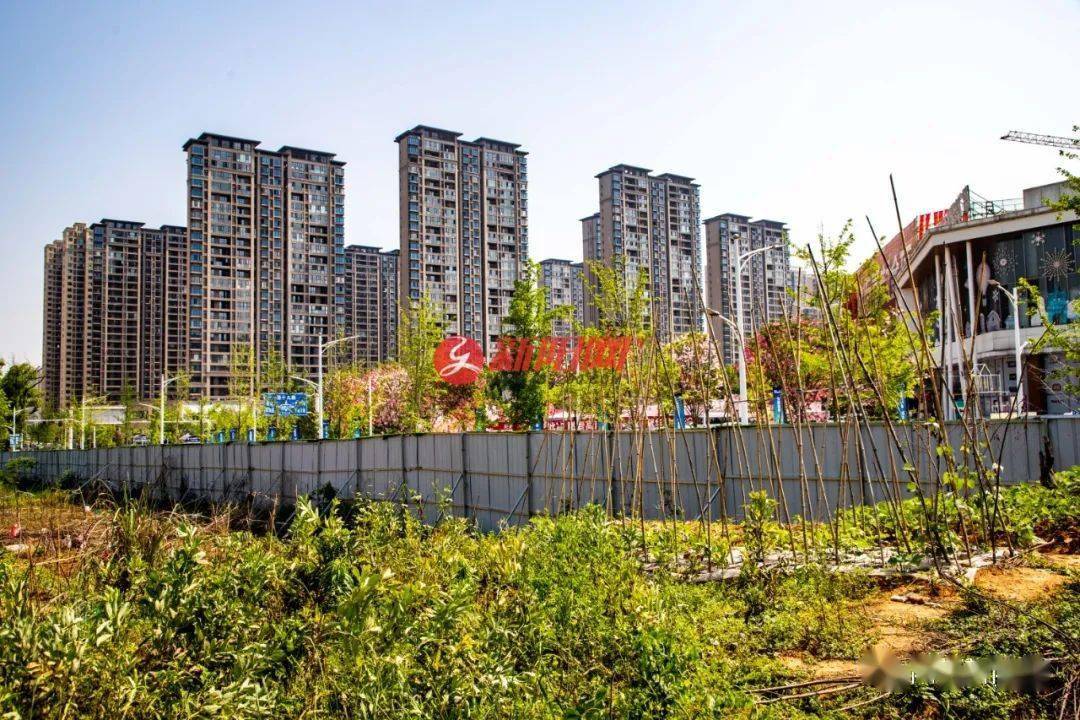 阳新体育公园项目终于传来新消息!_城东新区_市民_建设