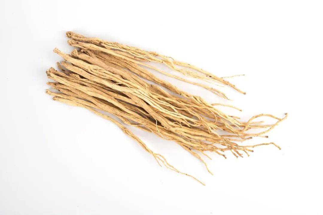 这些中药名称都带"参",功用却不同_人参_西洋参_党参