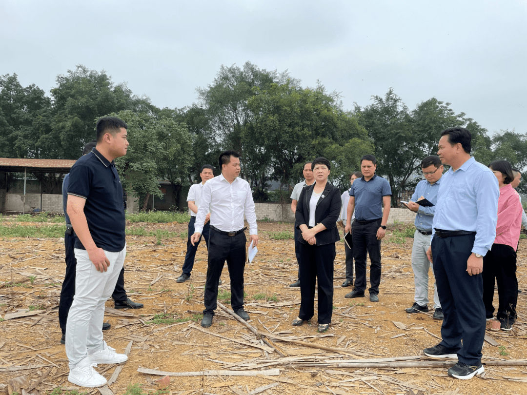 李红兰率队调研重点项目建设并走访监测户_企业_发展_江州区