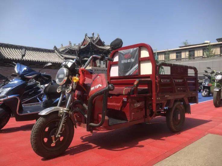 08,红色金马牌电动三轮车09,黑色绿驹牌电动摩托车10,黑色新大洲牌