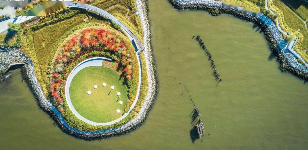 的迷幻它是镌刻时间的圆环benny farm它是承载生命的树池↑ 广州大华