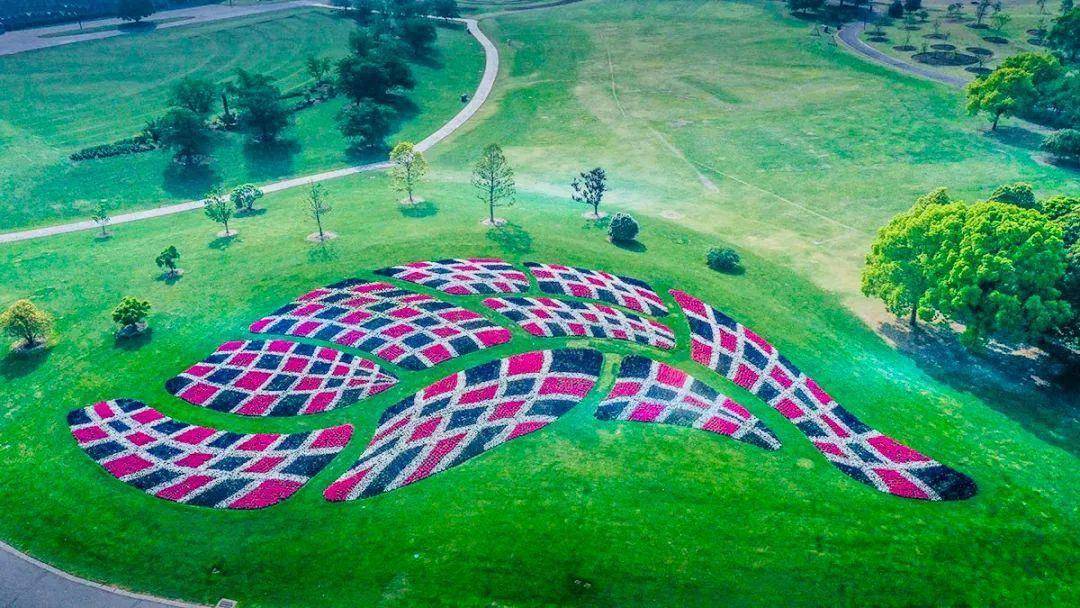 上海辰山植物园"上新"啦_花坛_设计_图案
