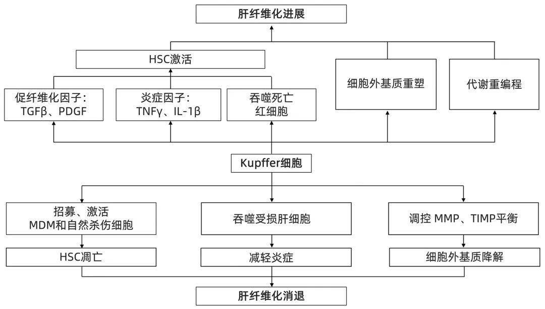 特别关注