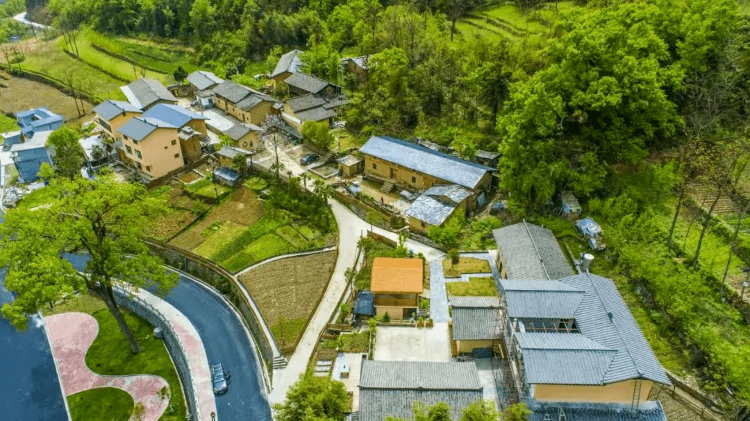 仓上镇:宜居宜业和美乡村建设示范村——天宝村_游客_村民_服务
