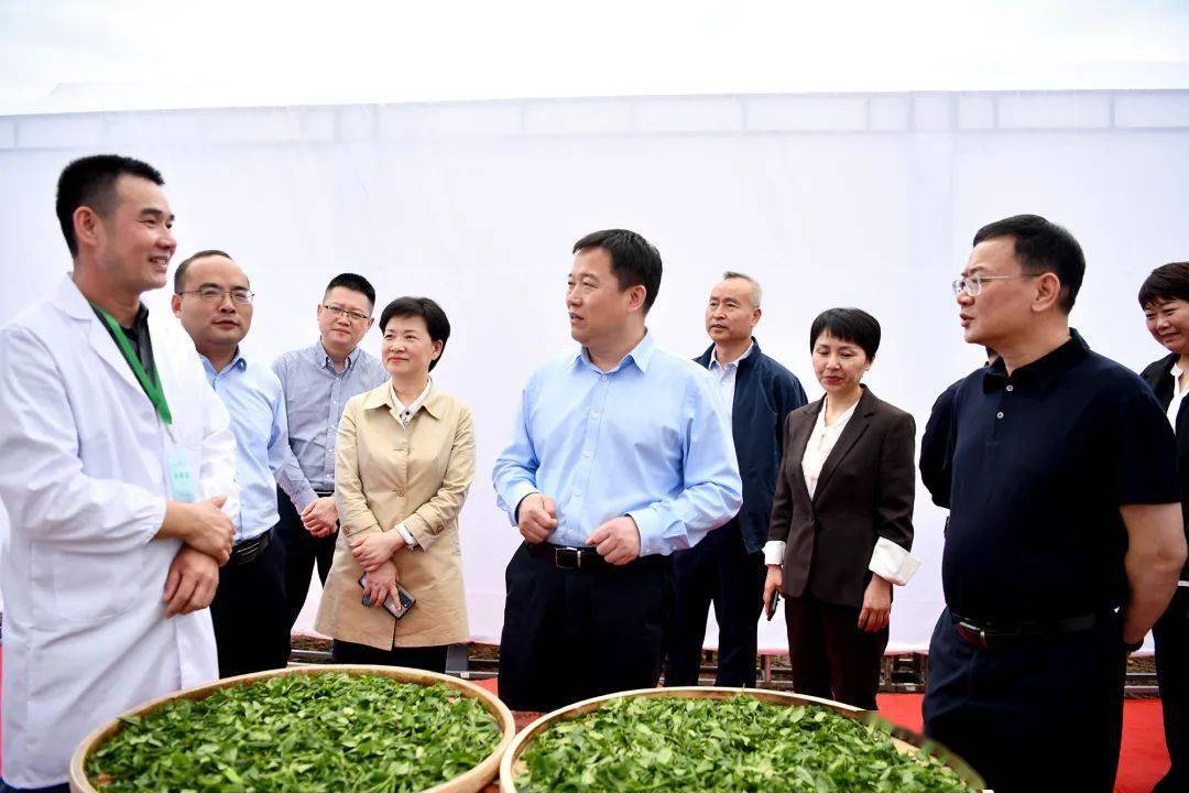 市政协领导俞健,夏丽云,黄统征,山东省农科院茶叶研究所所长,三级研究