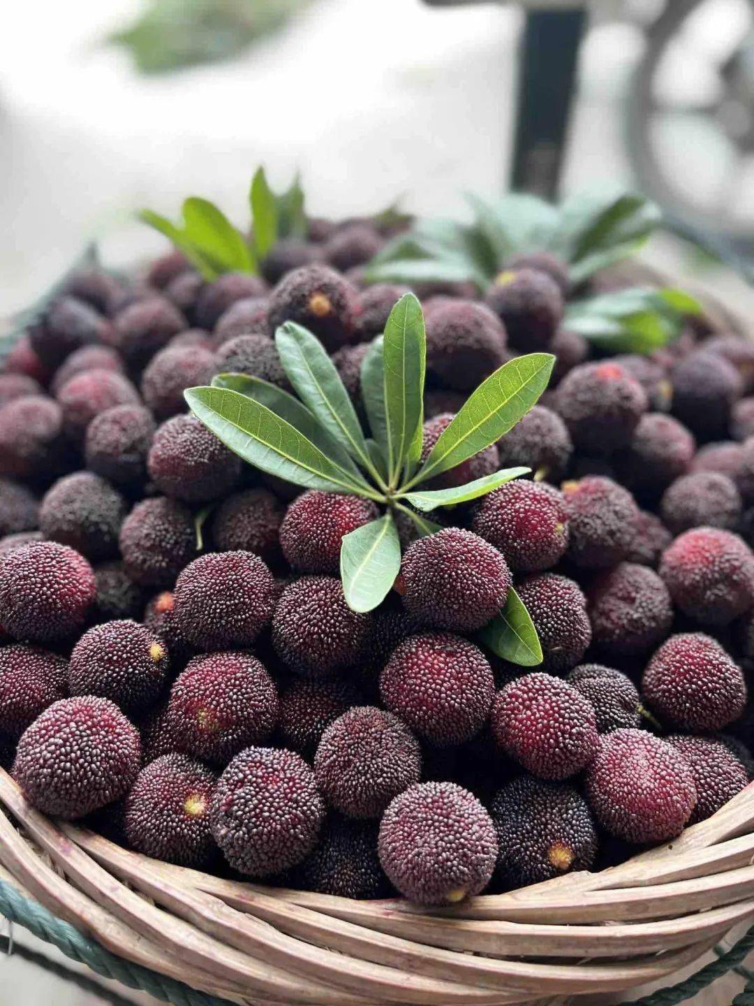 个大,肉厚,爆汁的福建浮宫杨梅就是极好的选择!_水果_价格_舌尖