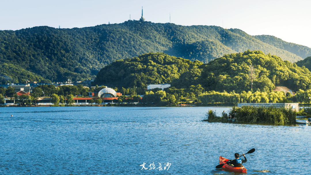 岳麓山夏天图片图片