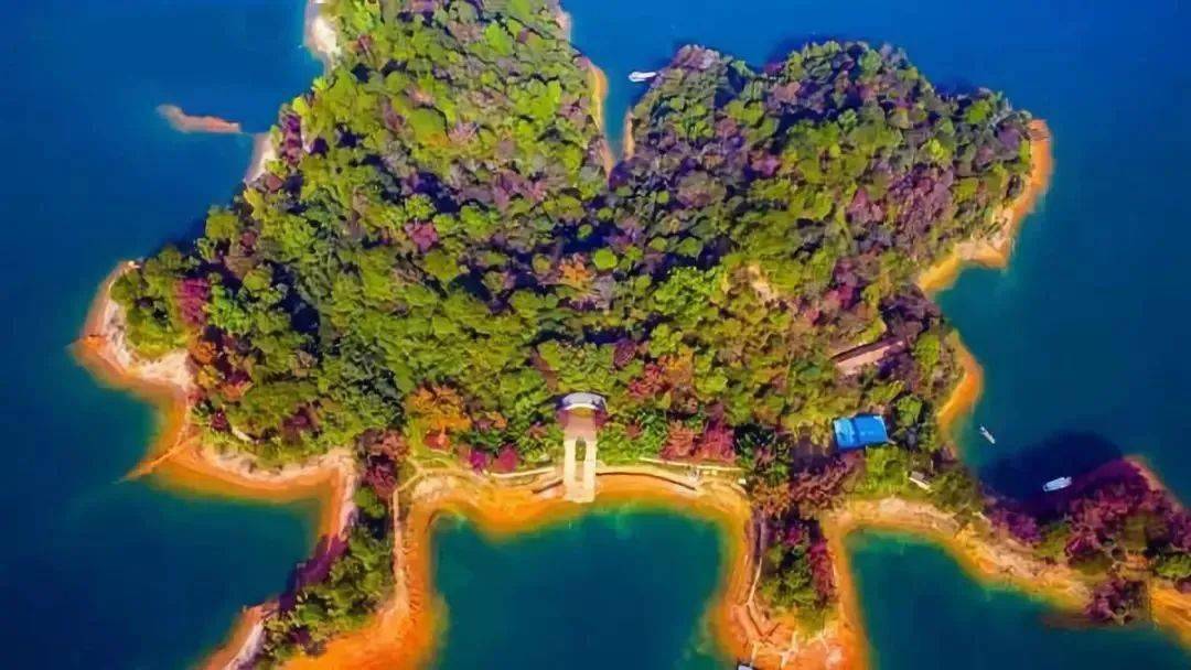 科普中国,河源万绿湖,期待上"头条"!_东江_广东_水源地