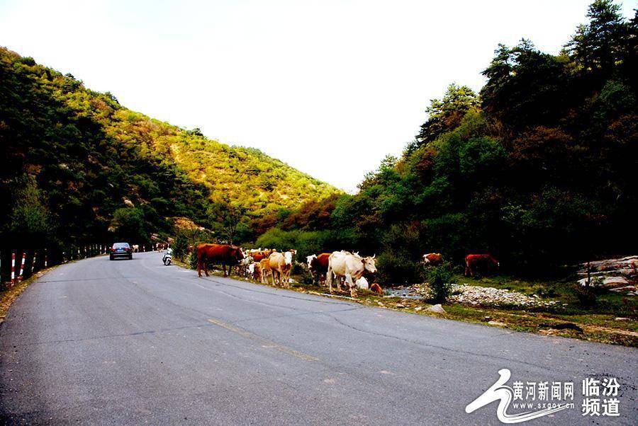 视觉临汾:康养好去处 隰县石马沟_旅游_景区_频道