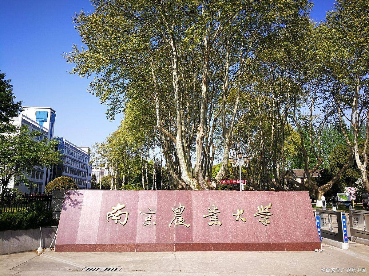 南京农业大学2022年各省录取分数线汇总,哪些专业分数线较高?