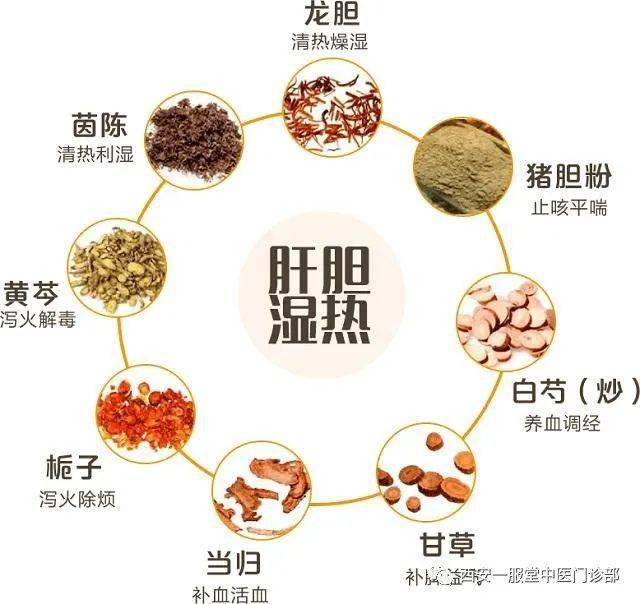 湿热蕴结证 来自搜狐网