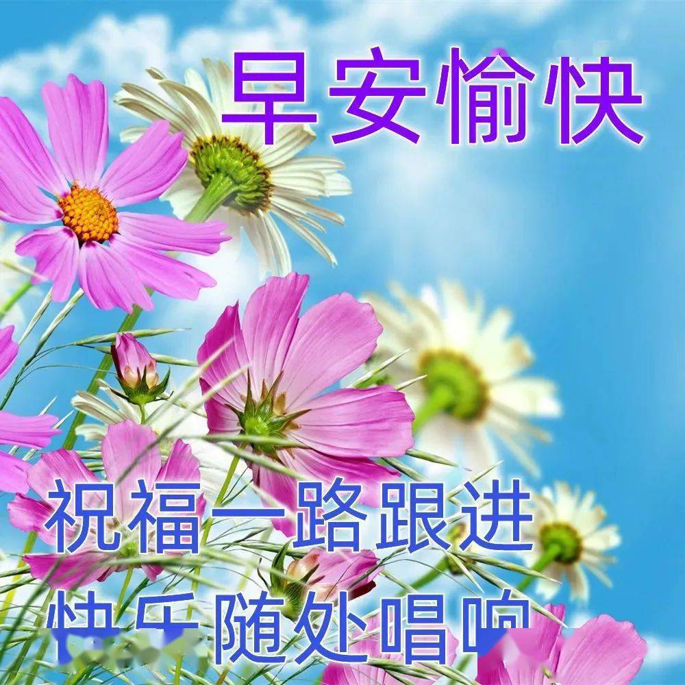今日最新早上好表情包图片大全,愿你一生健康,平安幸福,生活无忧!