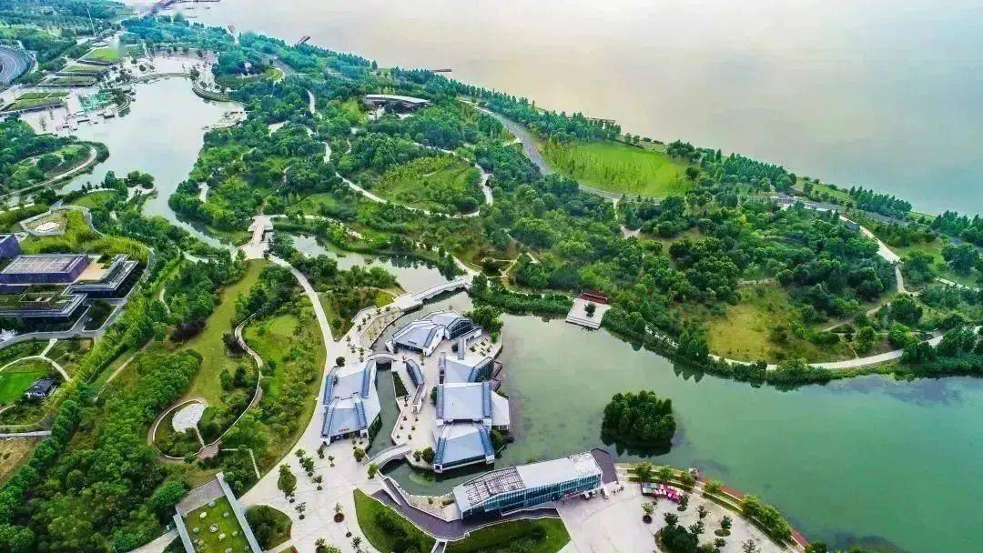 【探索】夏日将至,在长三角一体化示范区邂逅一抹清凉的绿!