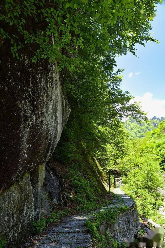 初夏云雾山_勉县_景区_海拔