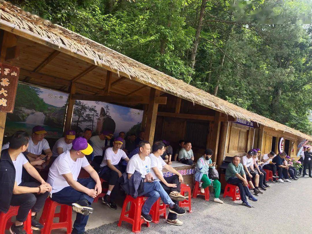 望仙谷,大茅山景区协同发展游客首发团到达德兴_旅游_谢华杰_版权
