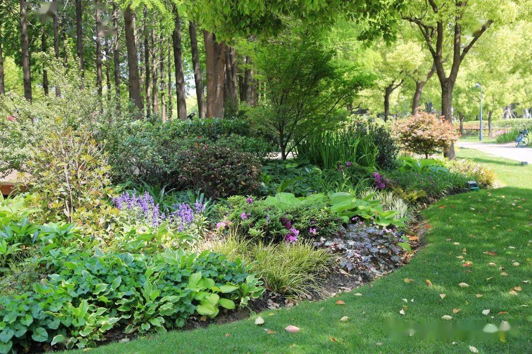 花境赏析 07 上海耀华滨江花境_植物_项目_地址