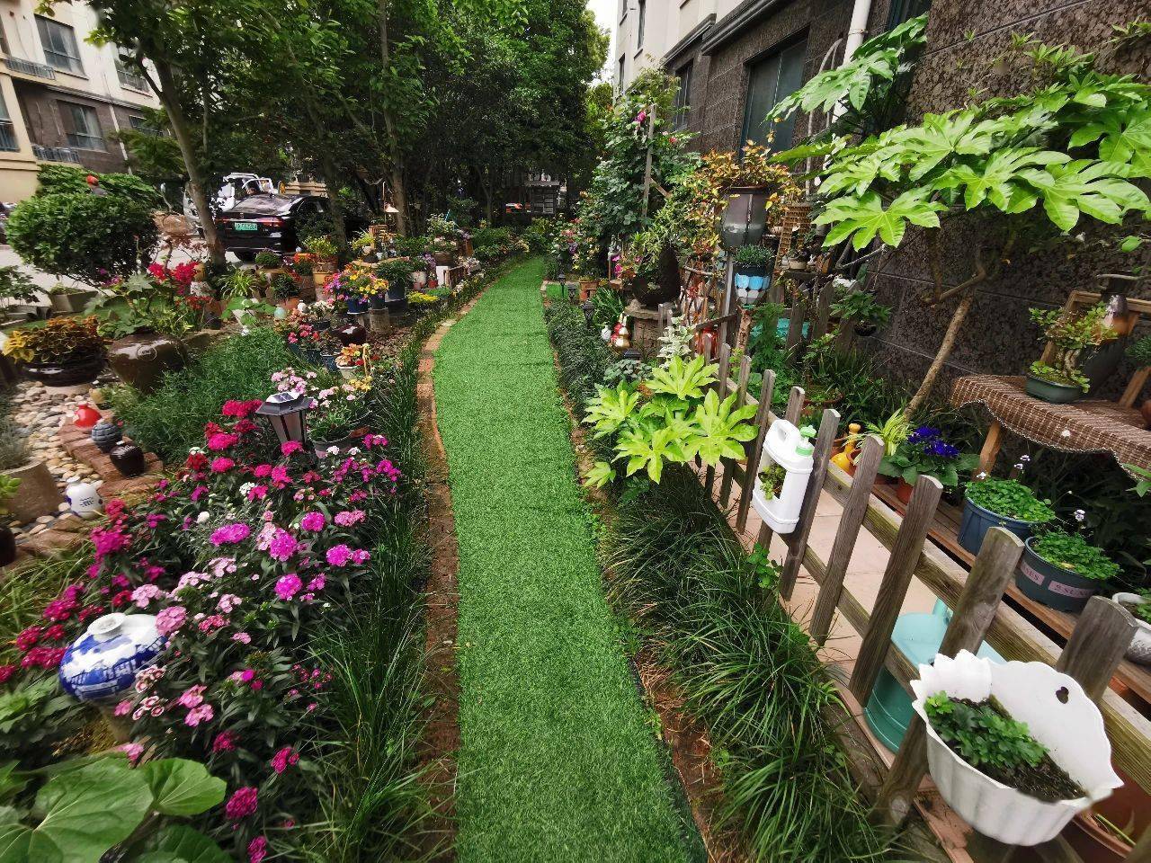 小区绿化带变身景观小院,颜值up↑_自治_进行_社区