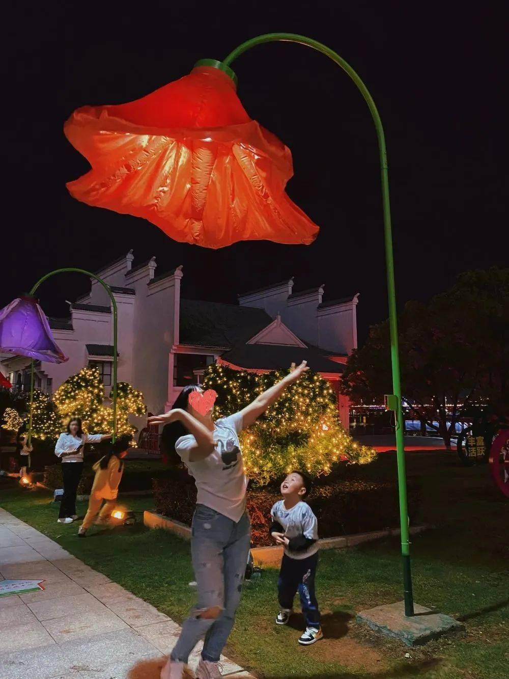 牵牛花_市民_花灯