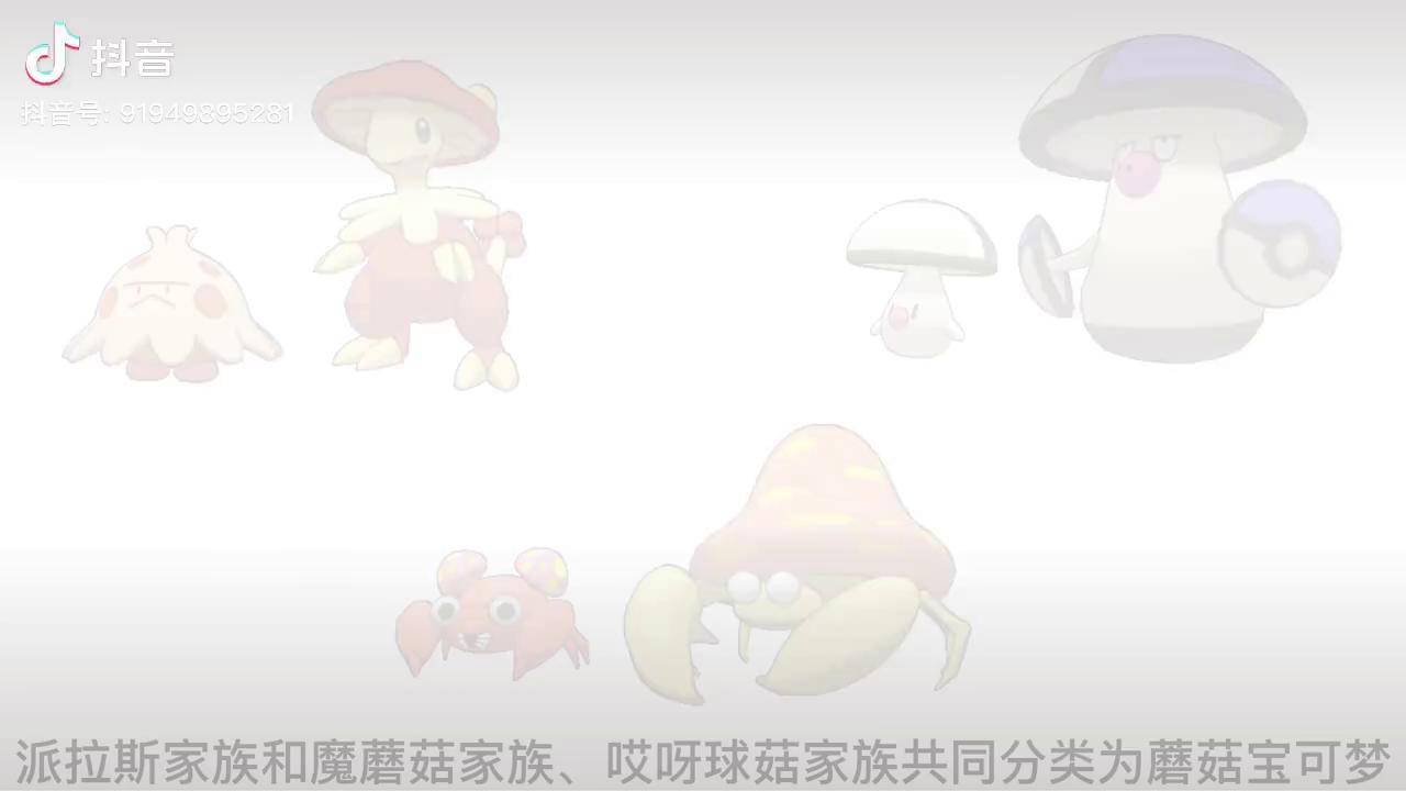 派拉斯家族冷知识!