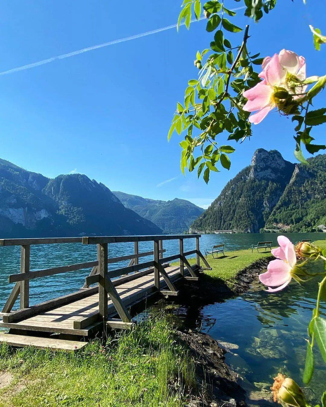 水边总有美丽的风景