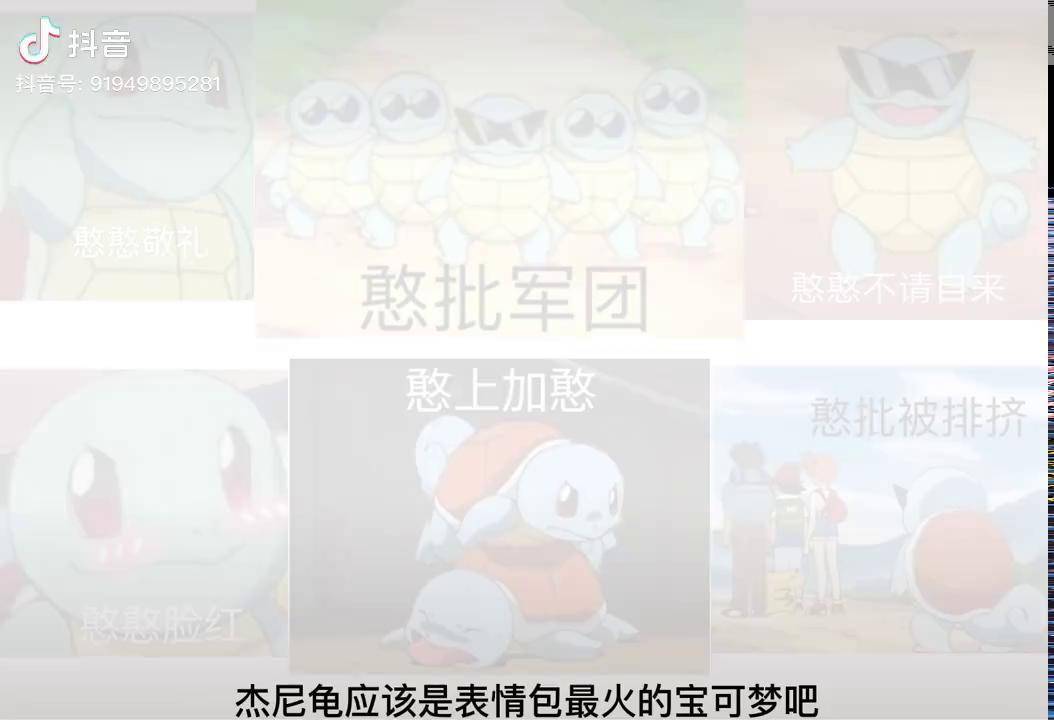 杰尼龟家族冷知识!