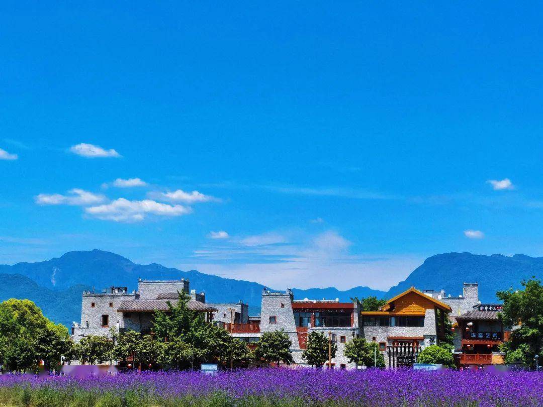 北川初夏美景已上线,速来围观!_满目_河畔_道路