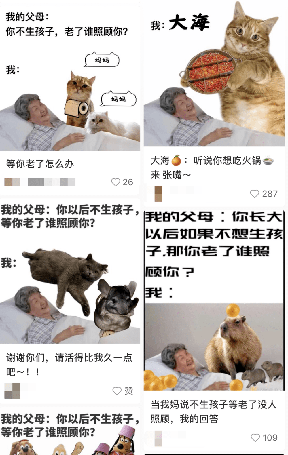 先生_孤寡老人_活动