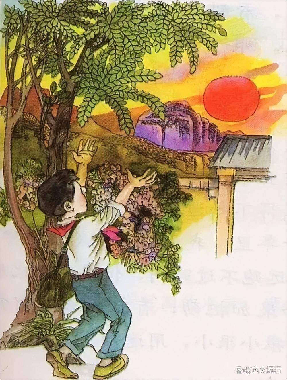 小学课本治愈插图，每次发新书都先看语文，那是我们回不去的童年